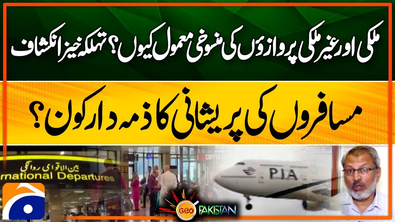 Frequent Flight Cancellations & Bird Strikes Cause Passenger Distress | Aviation Safety Concerns