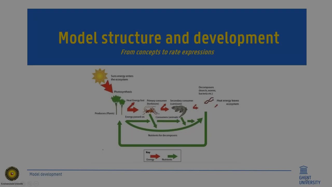 Ecological and Environmental modeling: model structure
