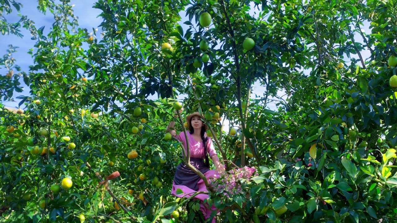 Enjoy beautiful nature with rural life 301 # MP Fresh