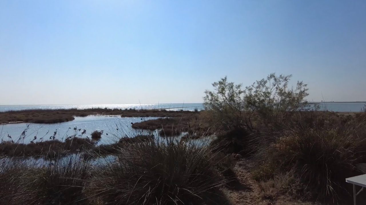 Silifke ilçesinde, Göksu deltası kuş cenneti  Akgöl milli parkı Mersin