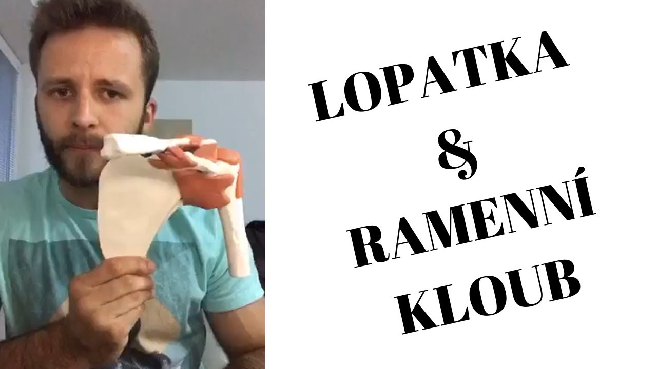 RAMENNÍ KLOUB