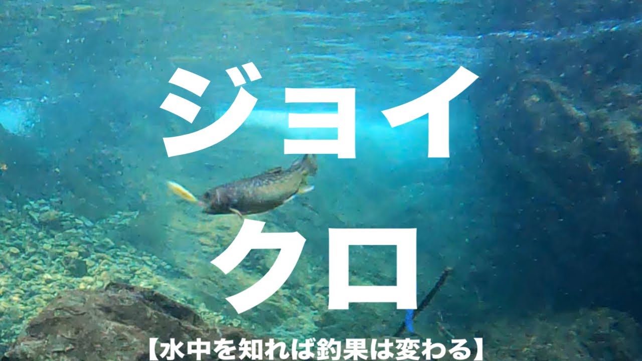 【渓流釣り】Amazing Underwater Trout ジョイクロ水中動画！釣れる動かし方はコレだ！！！