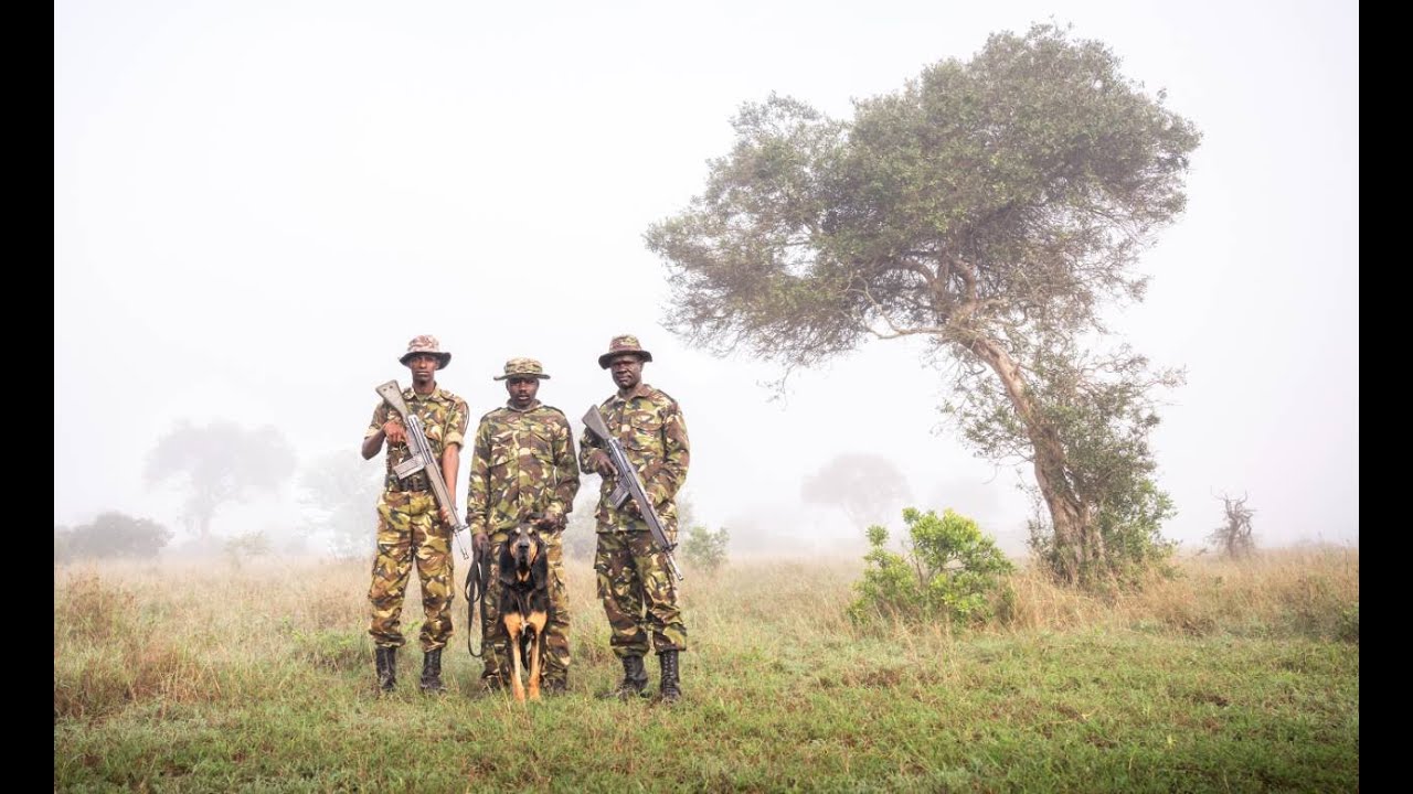 K9 Unit: Mugie's anti-poaching team