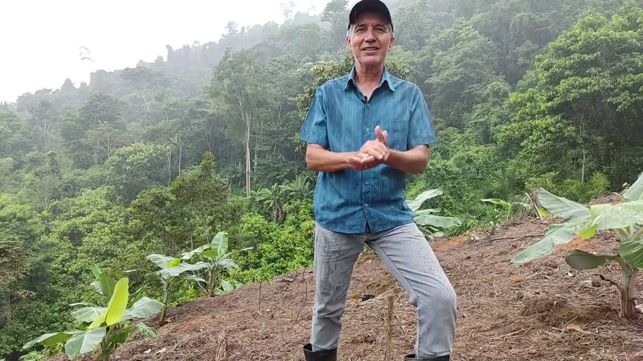 Adubação de Berço/Cova de Cacau