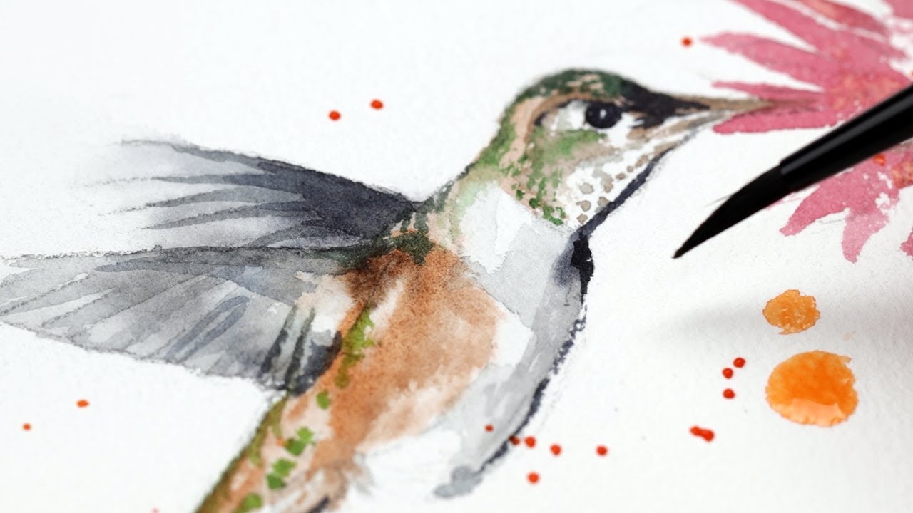 Watercolor Backyard Birds Hummingbird Easy Painting Tutorial