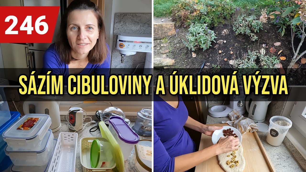 PLNĚNÉ BAGETKY | SÁZÍM CIBULOVINY | ÚKLIDOVÁ VÝZVA - PLASTOVÉ DÓZY A KRABIČKY
