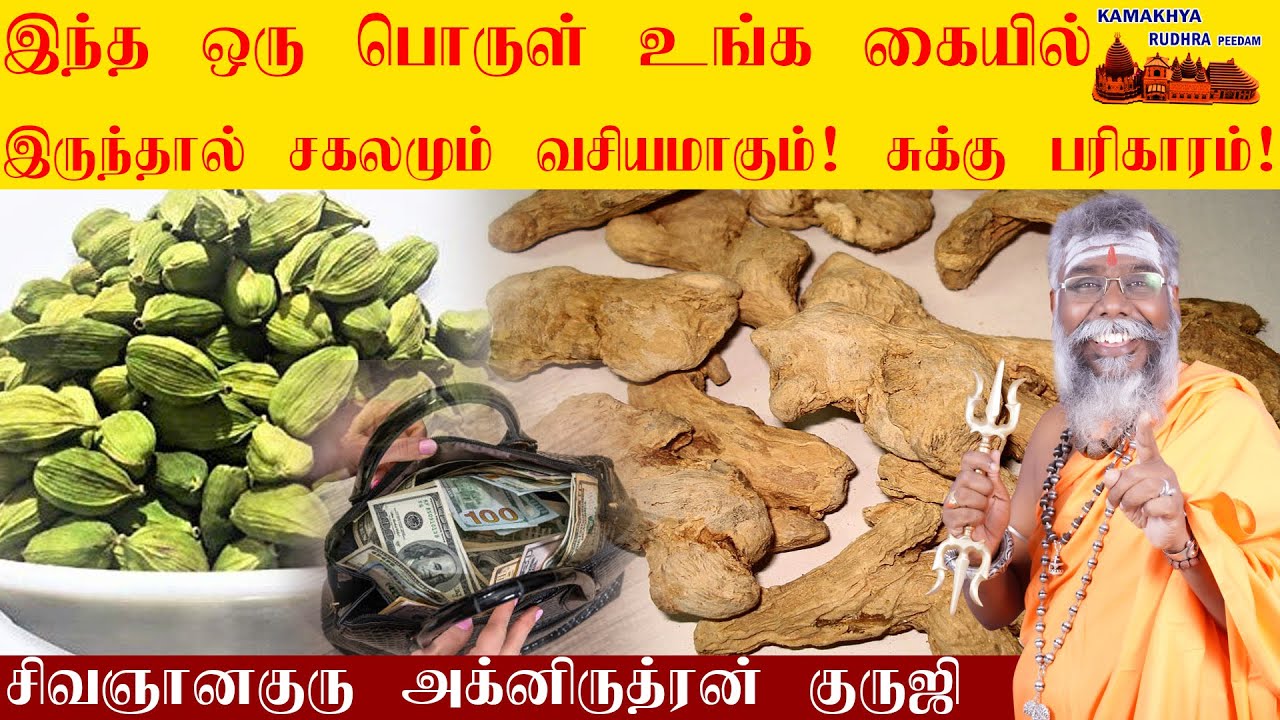 இந்த ஒரு பொருள் உங்க கையில் இருந்தால் போதும் சகலமும் வசியமாகும் | சுக்கு பரிகாரம் | Sukku |ருத்ரன்ஜி