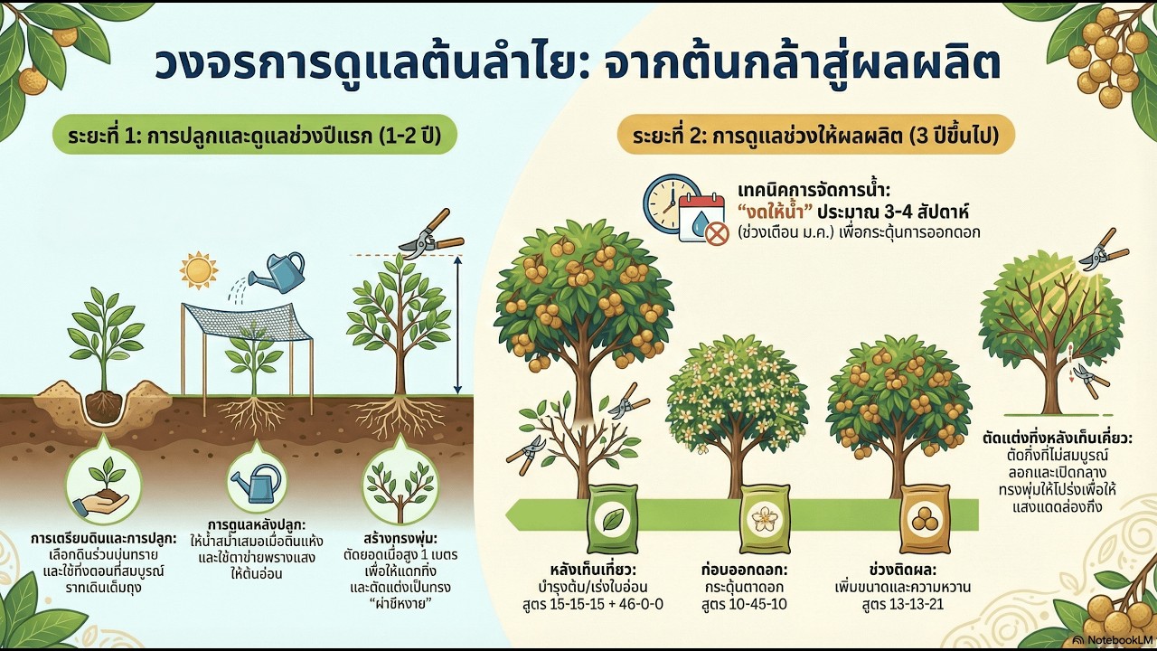 เคล็ดลับการปลูก 