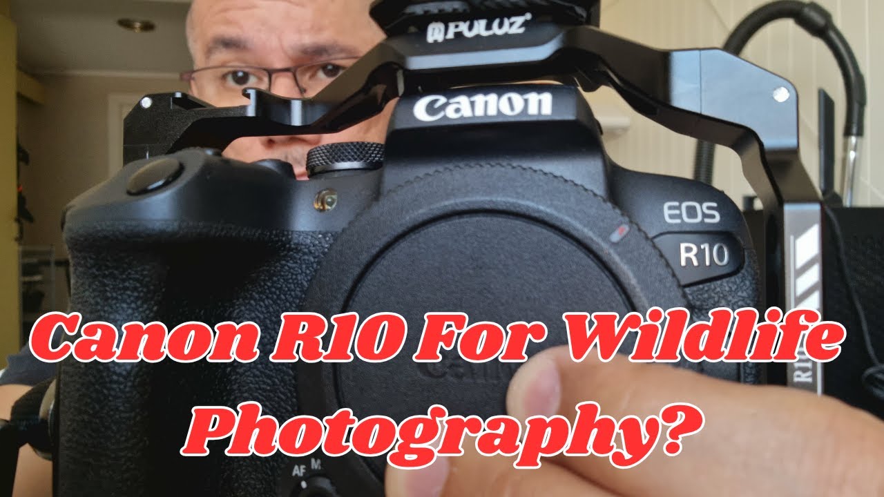 Улучшите свою камеру Canon R10 и объектив RF 100-400 мм для фотосъемки дикой природы!