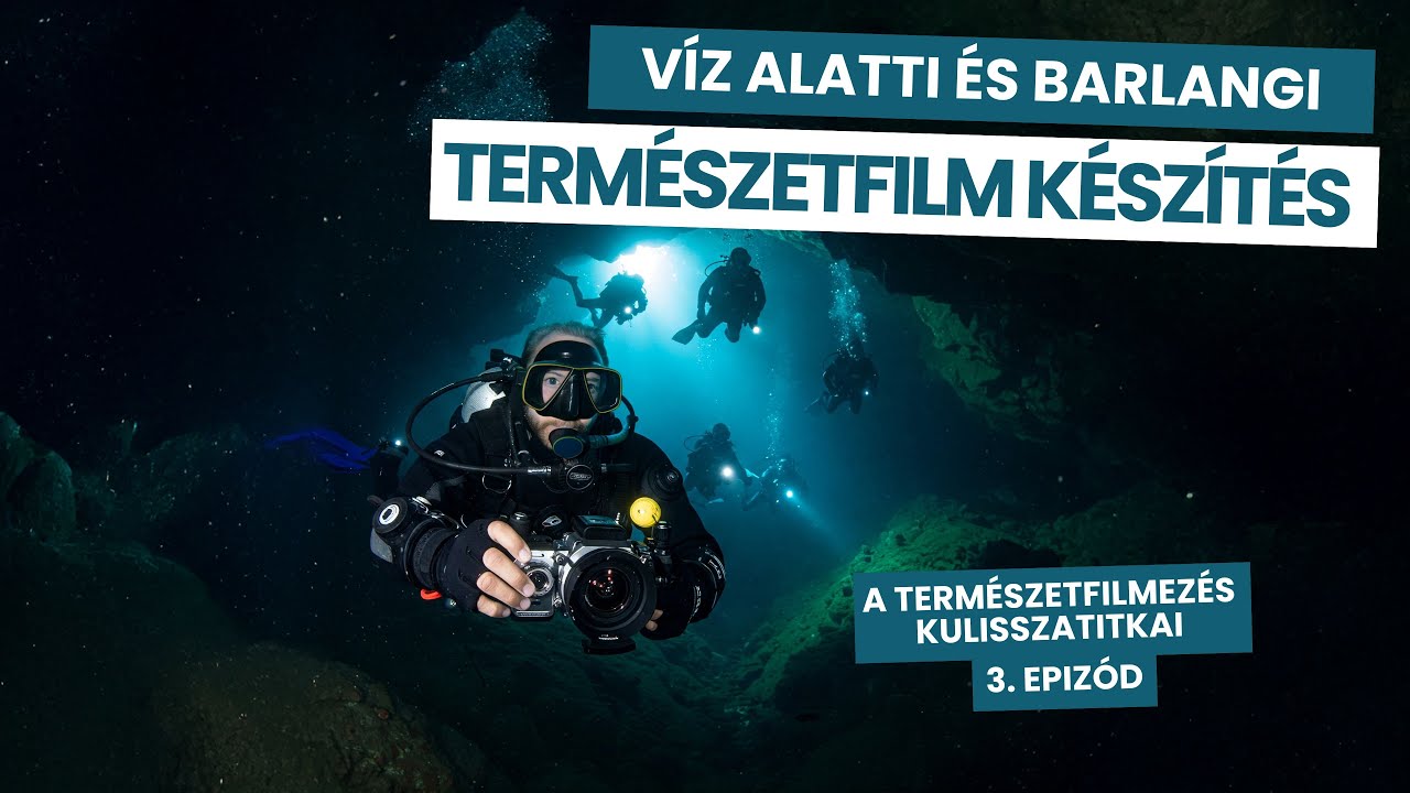Подводные и пещерные съемки: экстремальная сторона кинопроизводства о природе!