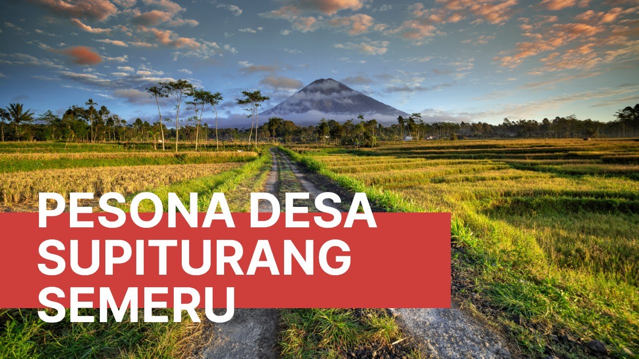 Pesona Desa Supiturang Semeru - Explore Lumajang | Vlog