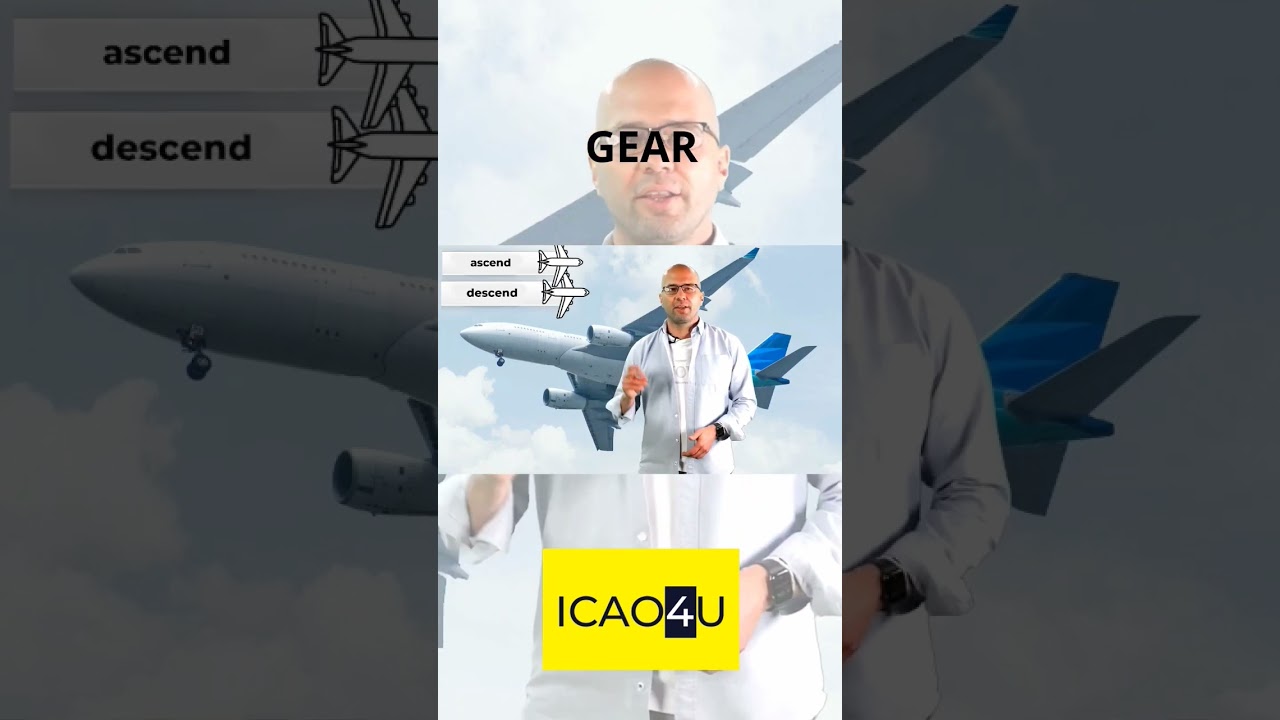 Photograph description examination stage: Gear