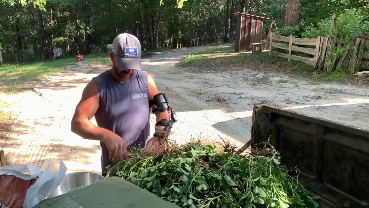 How To Boil Peanuts! - Southern Favorite!