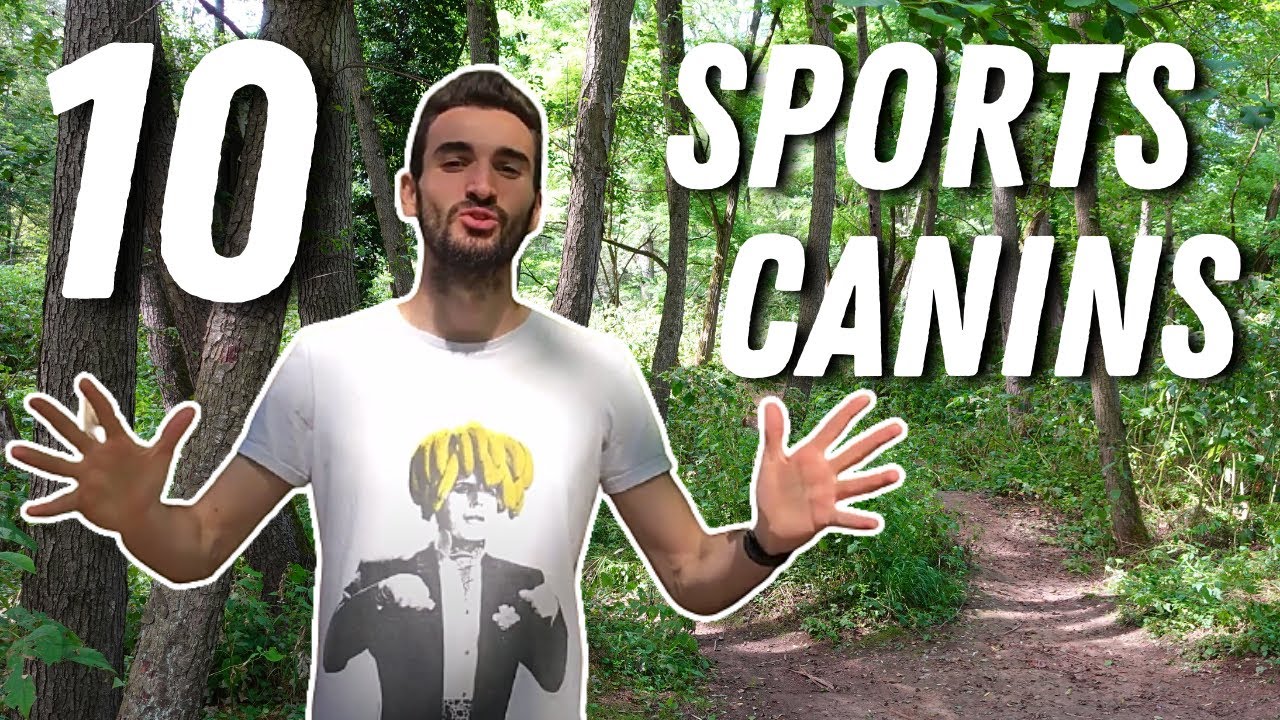 10 SPORTS &Agrave; PRATIQUER AVEC SON CHIEN !