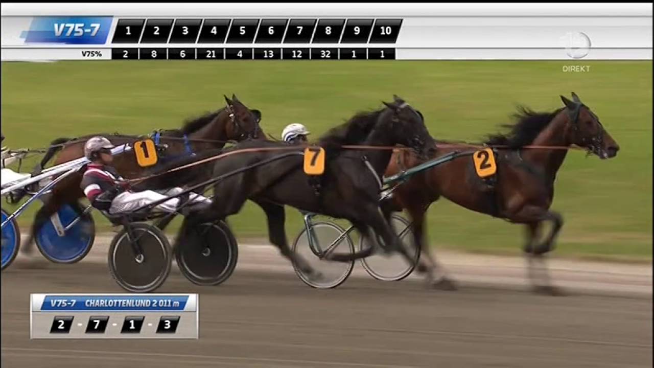 Copenhagen Cup 2016, Your Highness