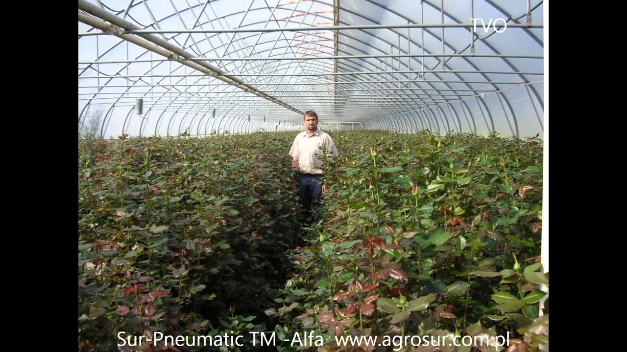 Tunele foliowe (Cieplarnie) Sur-Pneumatic TM Alfa
