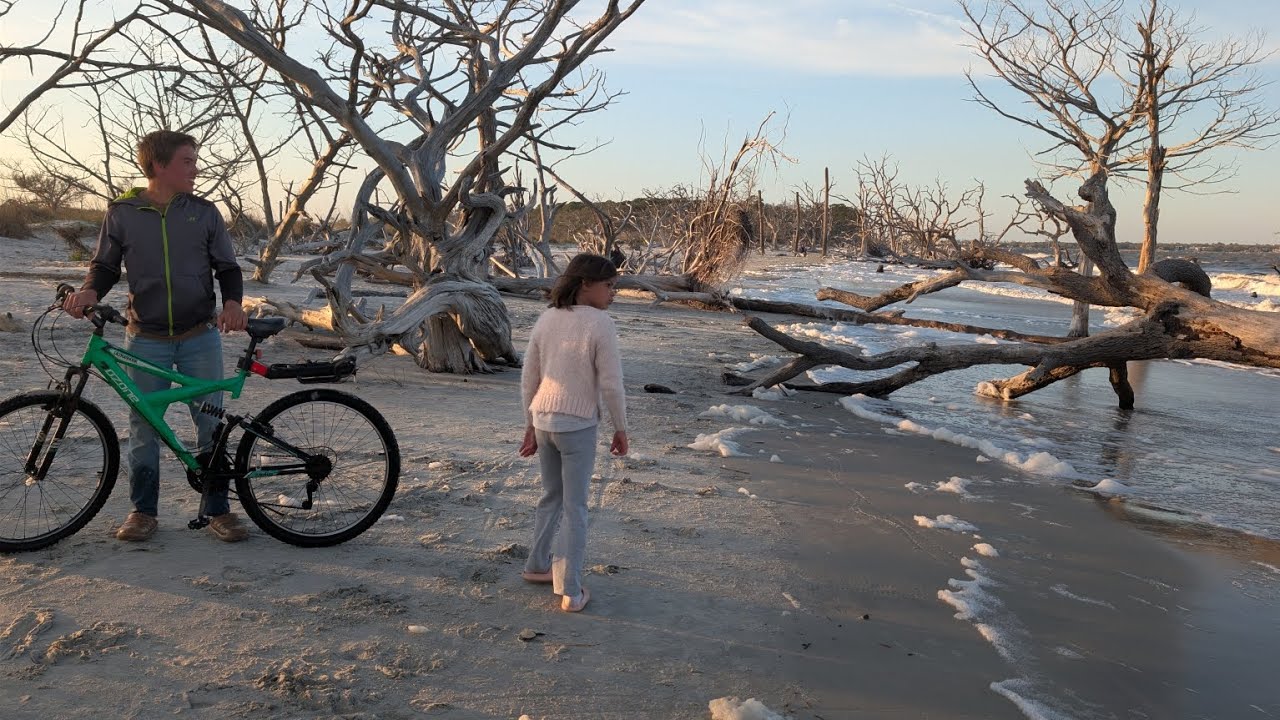 Evening outing to Drift Wood beach, Jekyll Island