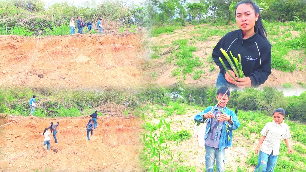 หลังจากแจ้งข่าวดีให้น้องกองมีและพ่อแม่กองหมีไป หาของป่าด้วยกัน14 มีนาคม ค.ศ. 2026