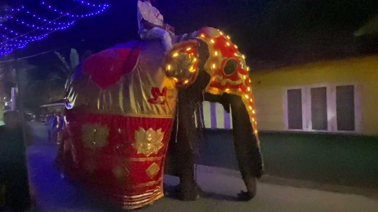 ගිනිබොල 🥰