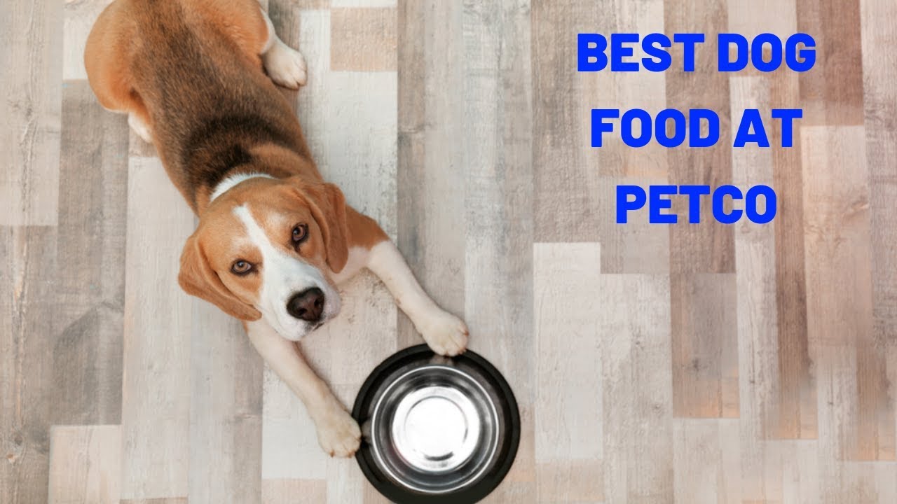 Best Petco Dog Food | Best Dog Food