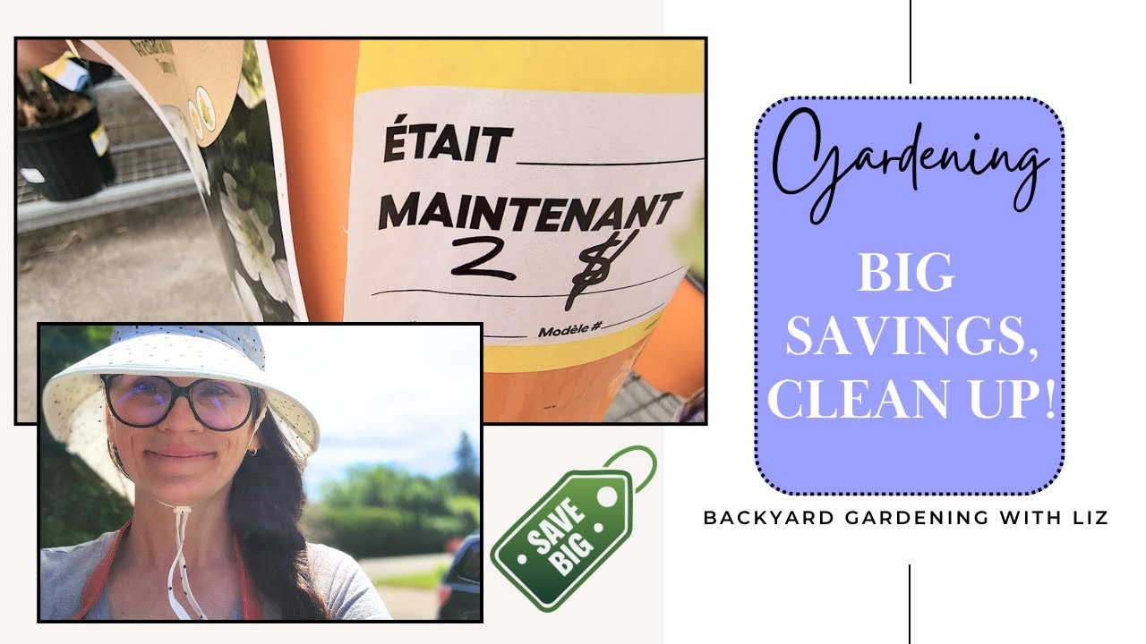 Plant Haul Deals - Huge Garden Finds At Crazy Prices (Gardening Journey EP 39)