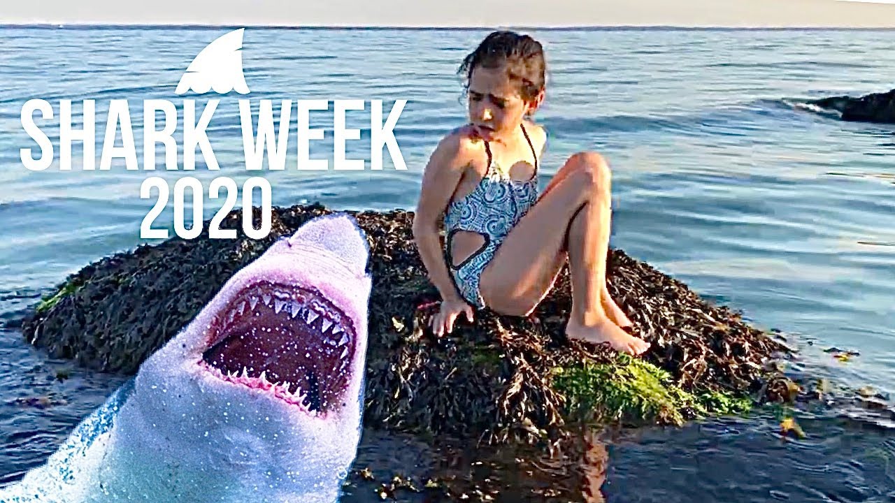 “The Shallows” short film | SHARK WEEK 2020