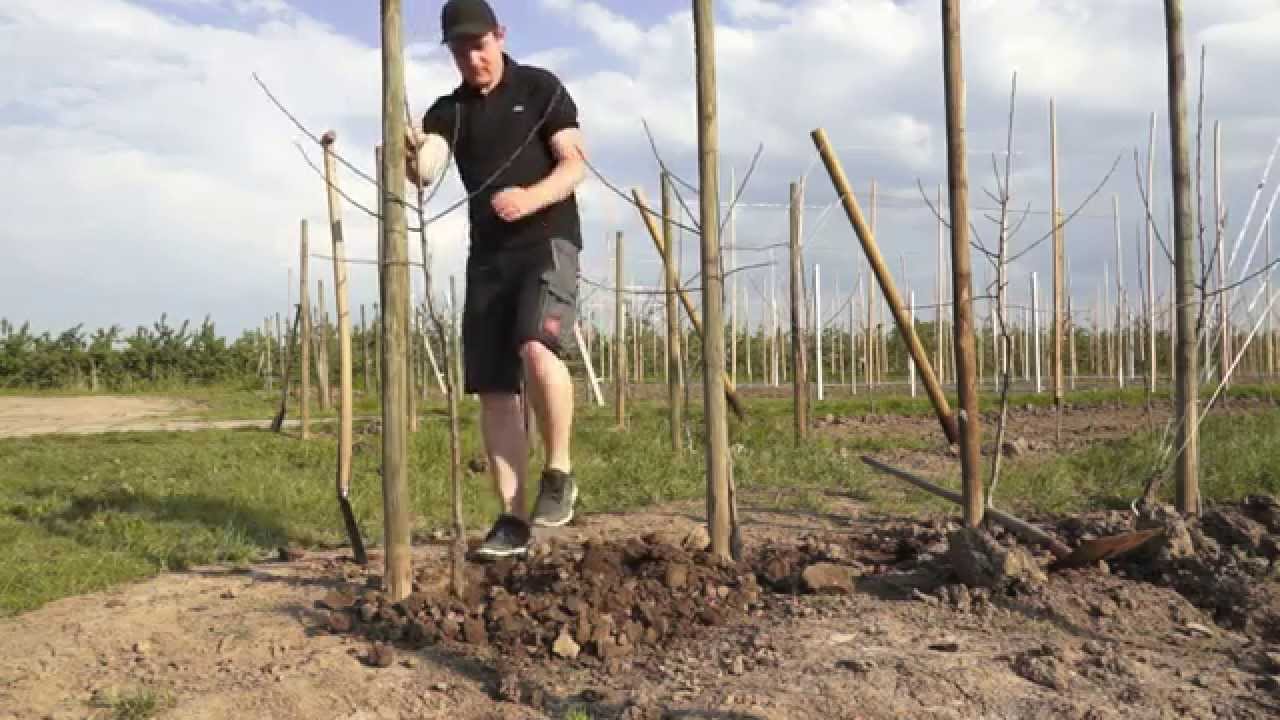 Obstbau-Meister 2014 – Gründe für die Berufswahl