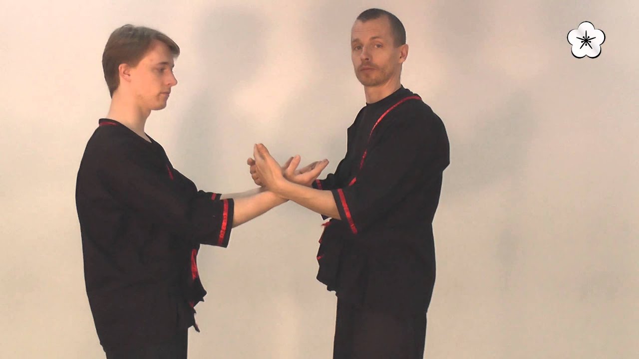 Wing Tsun introduction to Chi Sau sections