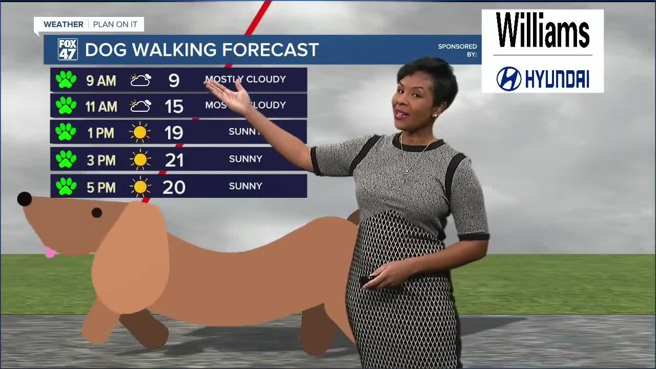 Today is another cold one with lots of sunshine