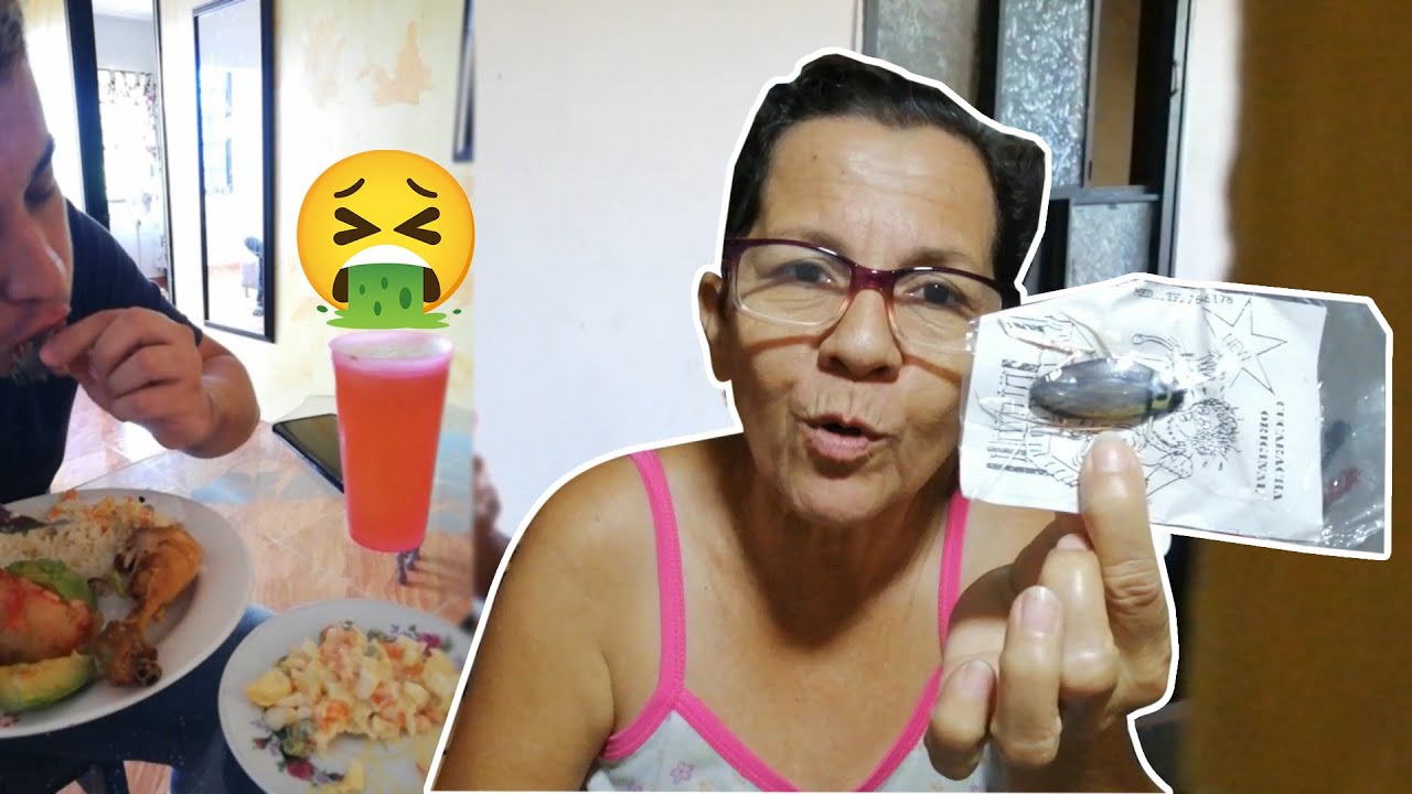 UNA CUCARACHA EN LA COMIDA (LA VENGANZA DE MI MAMA)