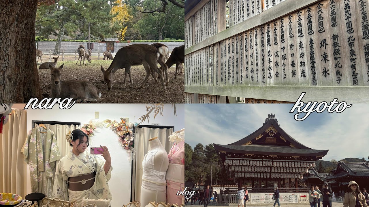 ⛩️ JAPAN VLOG: nara park, kyoto shrines, kimono rental!