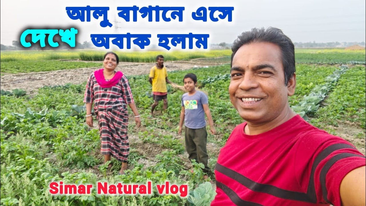 আলু বাগানে এত বড় বড় ওলকপি হবে ভাবতে পারিনি ।আলু গাছ কেমন হয়েছে দেখালাম।