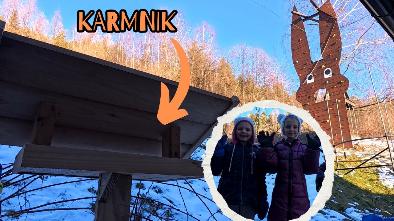 Robimy karmnik dla ptaków :)