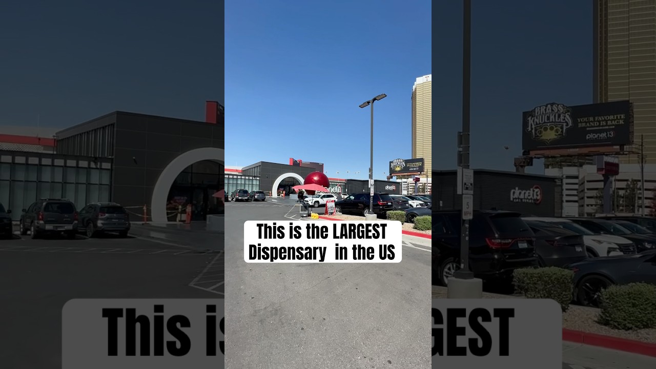 Planet 13&rsquo;s the LARGEST DISPENSARY in VEGAS ETC. #lasvegas #vegaslocals #thingstodoinvegas #fyp