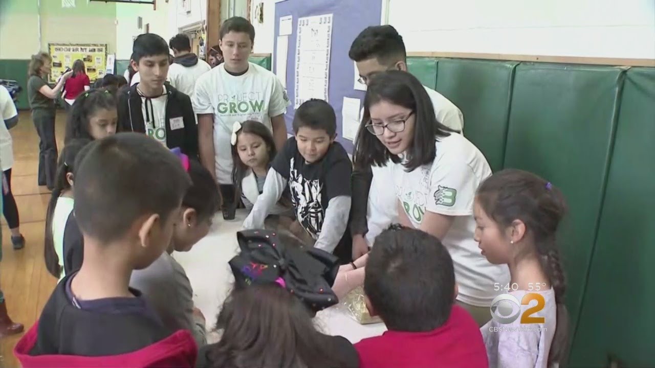 Mentoring Promotes Gardens Over Gangs For Long Island Children