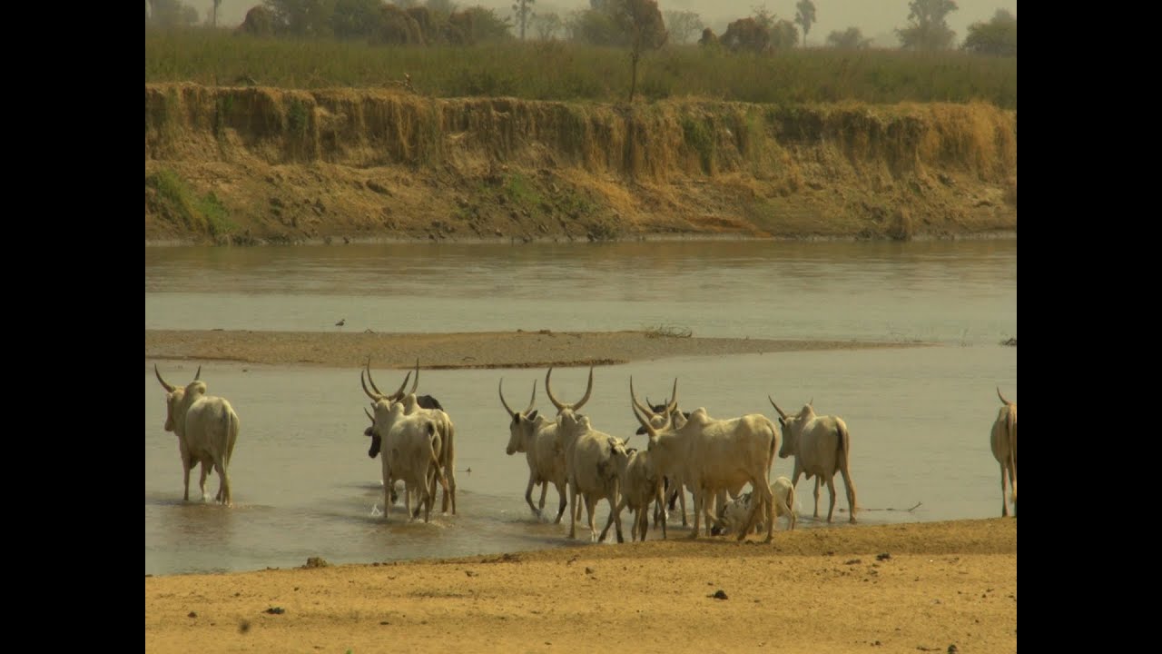 EXPLAINED Nigeria's Herders Farmers Conflict