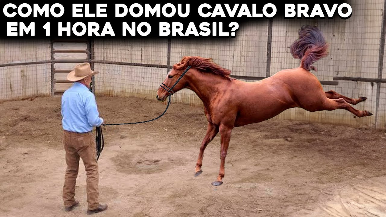 O MELHOR DOMADOR DE CAVALOS DO MUNDO VEIO AO BRASIL E FEZ ISSO