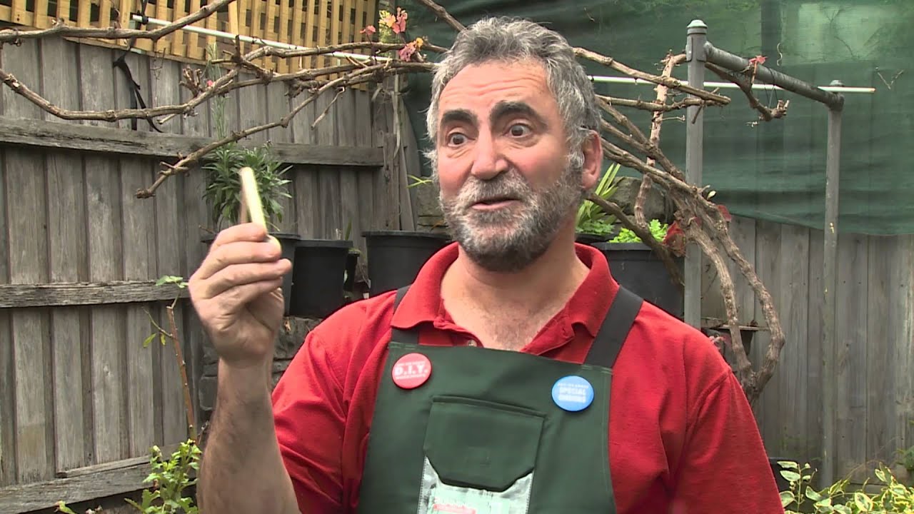How To Build A Garden Archway - DIY At Bunnings