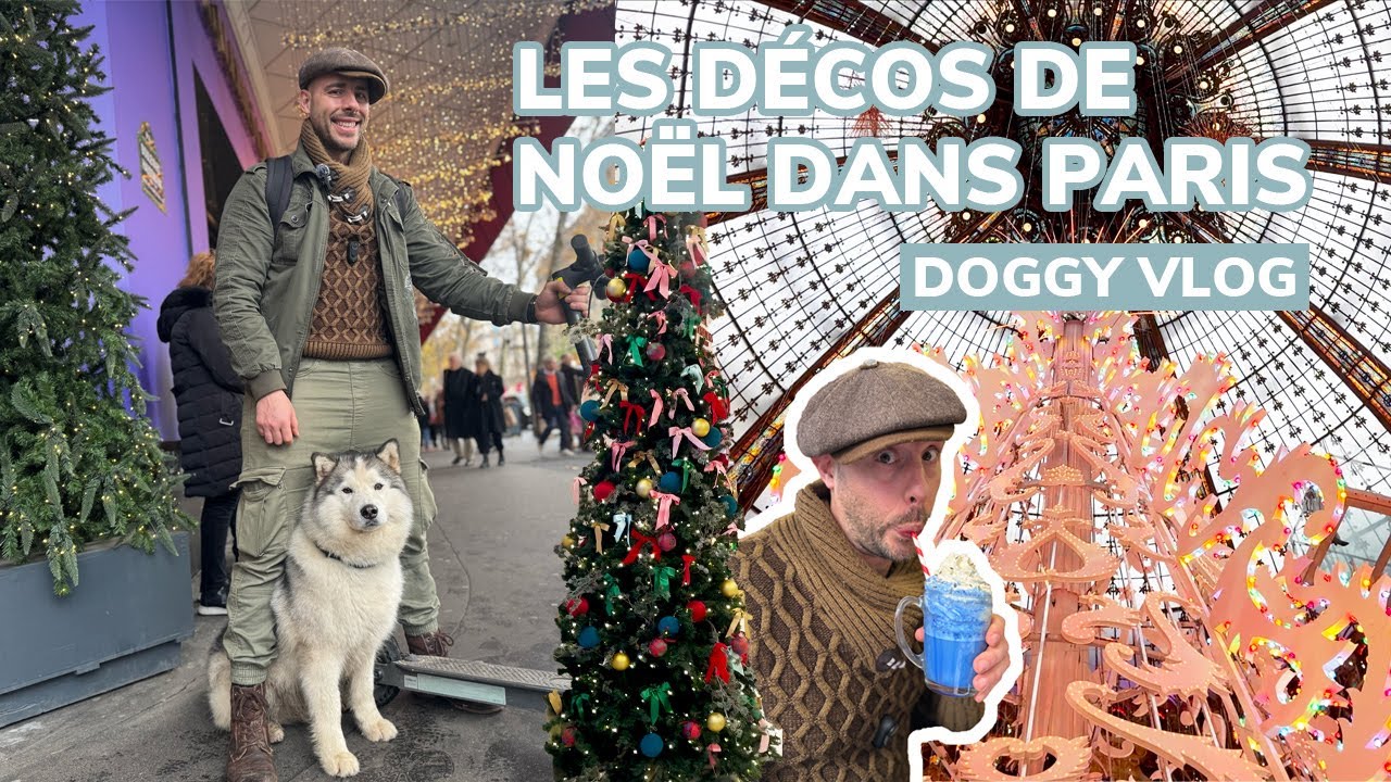 Doggy Vlog | Les décos de Noël dans Paris