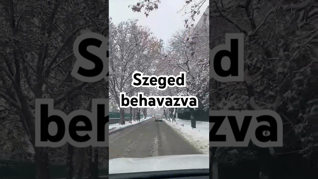Havas Szeged és őzek a Laposon ❄️🦌☃️  #Szeged #2026január #anagyhavazás