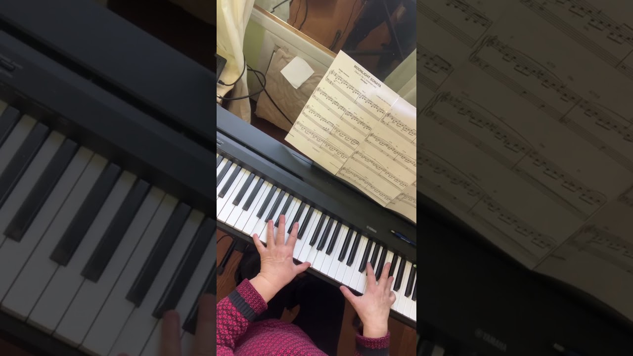 Moonlight Sonata in d minor by Beethoven