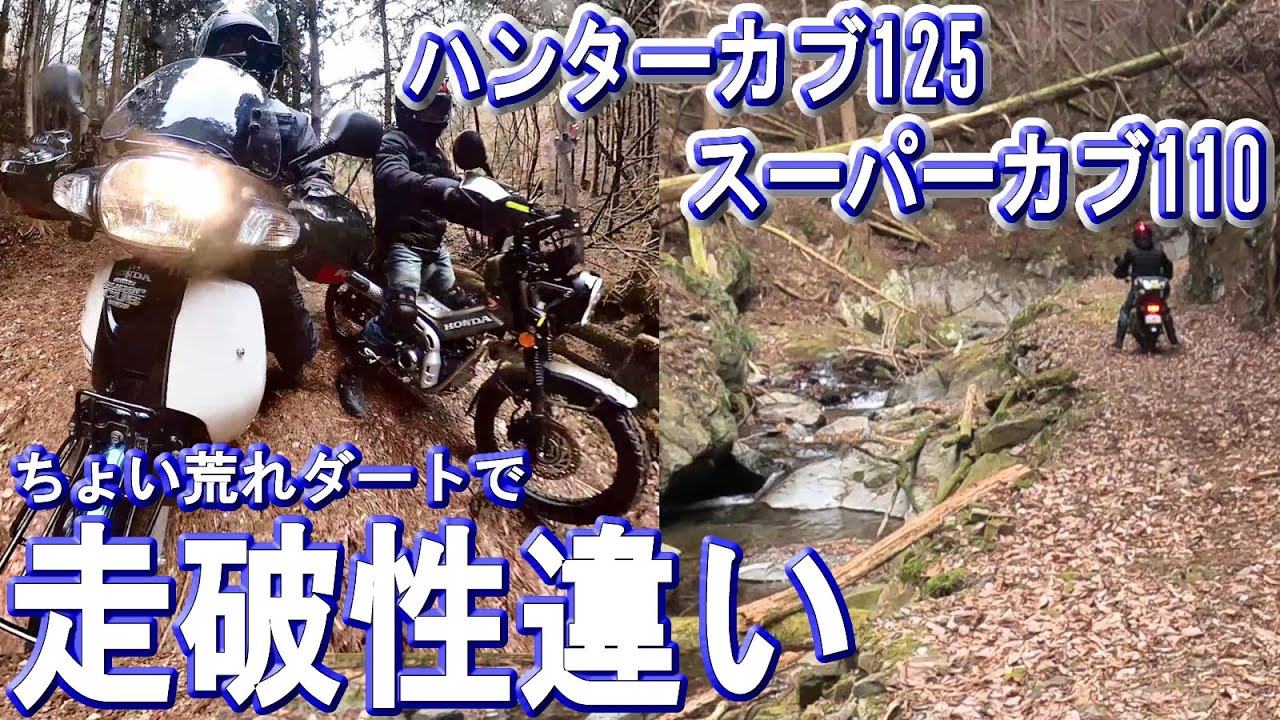 スーパーカブ110vsハンターカブ～ちょい荒れダート林道走行中にわかった走行性能(走破性)の違いと、楽しい林道マスツーの様子　#ja10 #ct125