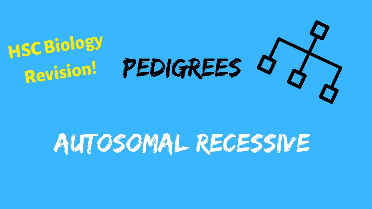 HSC Biology Pedigrees | Autosomal Recessive Mode of Inheritance
