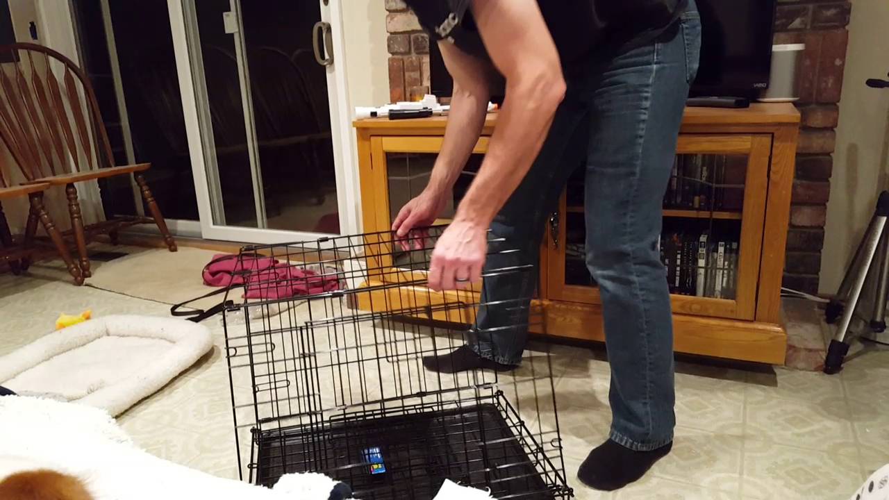How to collapse and setup a dog crate