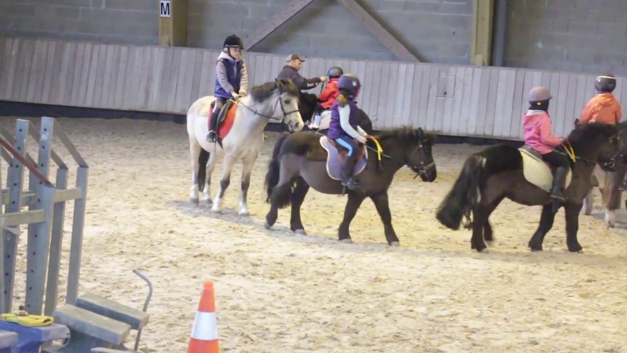 [Cour]  D équitation encore une nouvelle chute