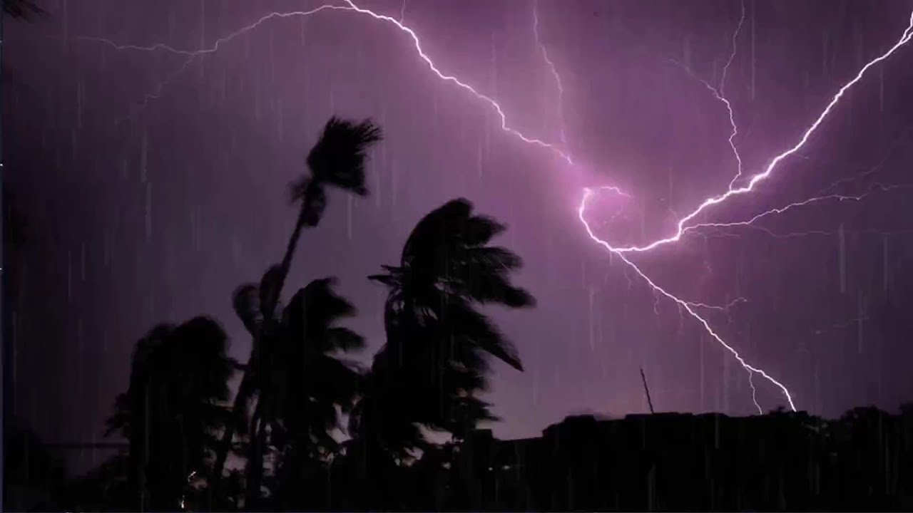 Rain & Thunderstorm Sounds, Nature & Rain Sounds to Relax, Meditate, Study & Fall Asleep