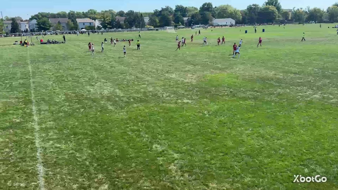 Jeffrey Madison Live Stream
