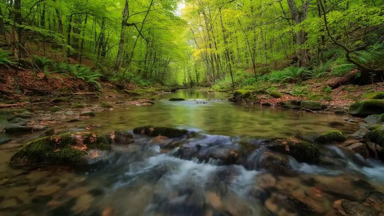 INSTANT PEACE: 8 Hours of Music That Melts Away Stress & Anxiety | Deep Sleep Aid & Focus