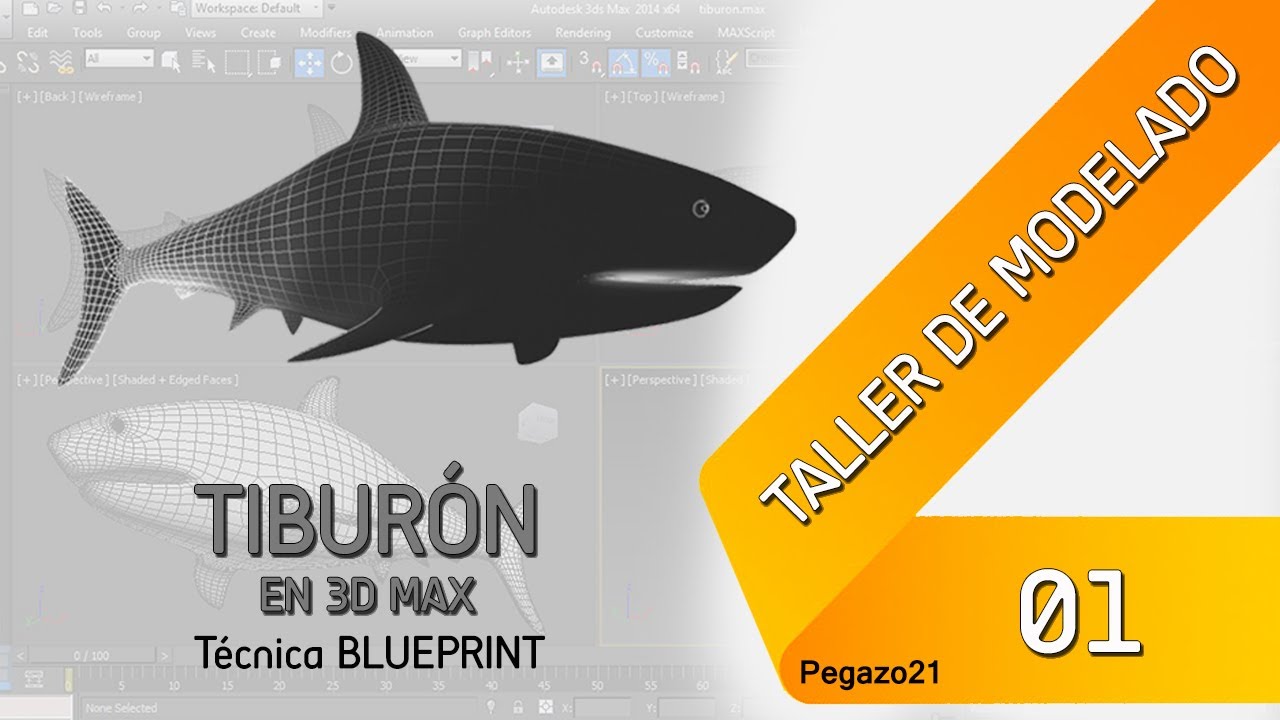 Taller de modelado 01 Tiburón en 3ds Max