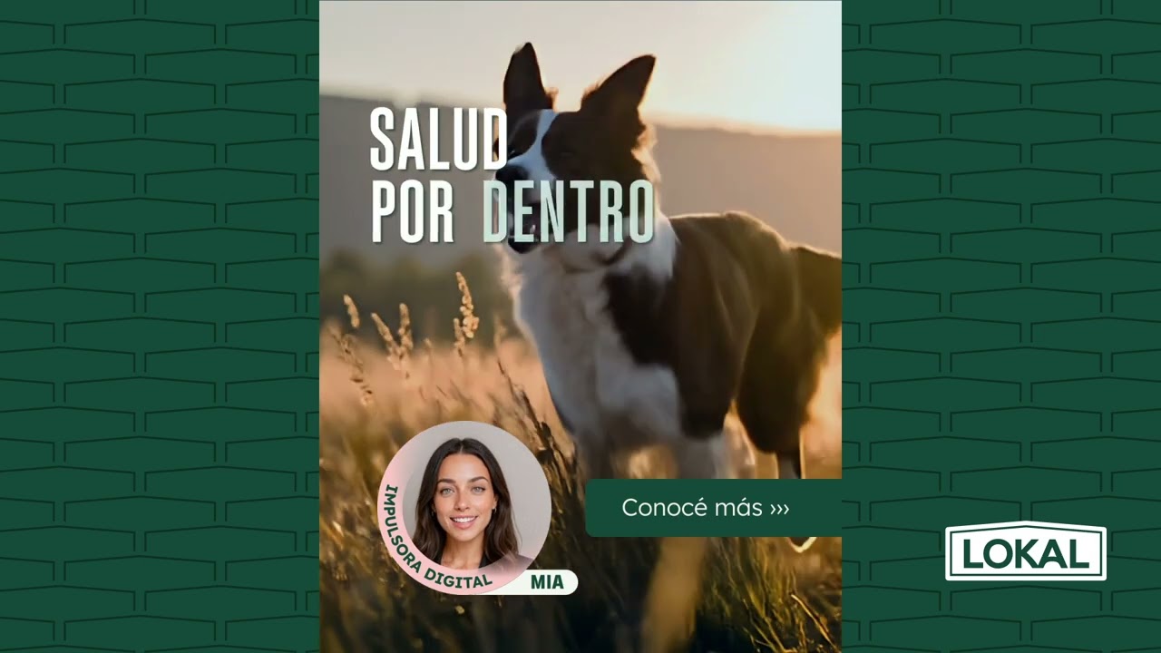 LOS 10 ARGUMENTOS DE LOKAL